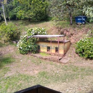 Chácara com 230m², 5 dormitórios, 2 vagas, no bairro Galópolis em Caxias do Sul para Comprar