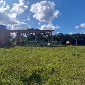 Chácara, no bairro Nossa Senhora das Graças em Caxias do Sul para Comprar