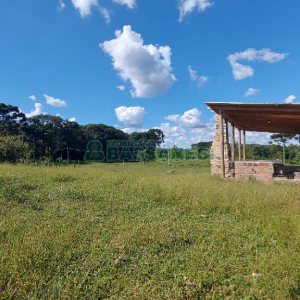 Chácara, no bairro Nossa Senhora das Graças em Caxias do Sul para Comprar