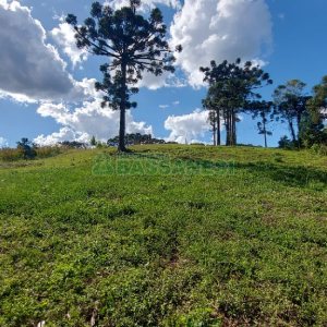 Chácara, no bairro Nossa Senhora das Graças em Caxias do Sul para Comprar