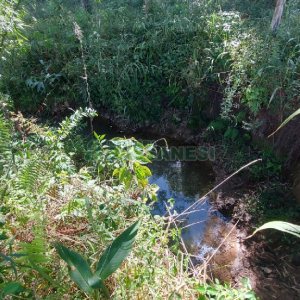 Chácara, no bairro Nossa Senhora das Graças em Caxias do Sul para Comprar