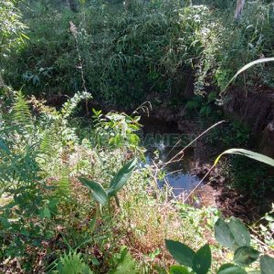 Chácara, no bairro Nossa Senhora das Graças em Caxias do Sul para Comprar