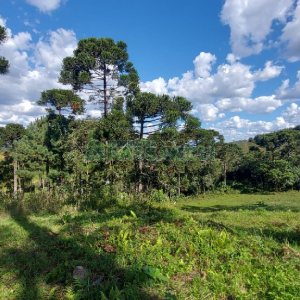 Chácara, no bairro Nossa Senhora das Graças em Caxias do Sul para Comprar