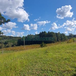 Chácara, no bairro Nossa Senhora das Graças em Caxias do Sul para Comprar