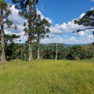 Chácara, no bairro Nossa Senhora das Graças em Caxias do Sul para Comprar