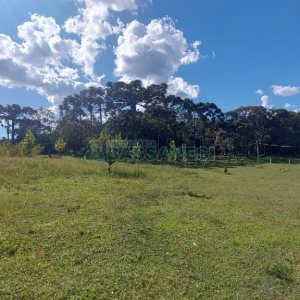 Chácara, no bairro Nossa Senhora das Graças em Caxias do Sul para Comprar