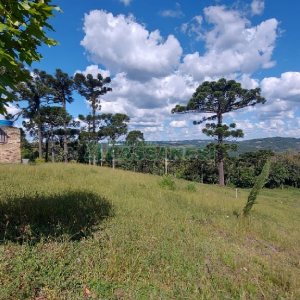 Chácara, no bairro Nossa Senhora das Graças em Caxias do Sul para Comprar