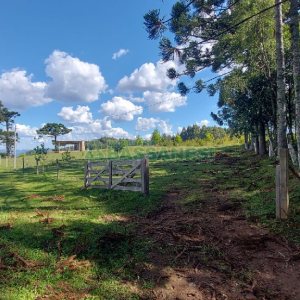 Chácara, no bairro Nossa Senhora das Graças em Caxias do Sul para Comprar