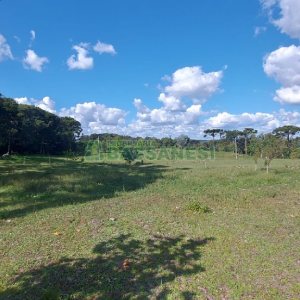 Chácara, no bairro Nossa Senhora das Graças em Caxias do Sul para Comprar