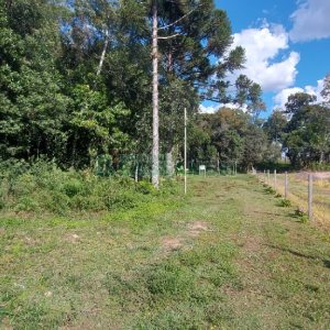 Chácara, no bairro Nossa Senhora das Graças em Caxias do Sul para Comprar