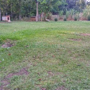 Chácara com 100m², 4 dormitórios, 1 vaga, no bairro Fazenda Souza em Caxias do Sul para Comprar