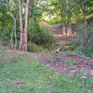 Chácara com 100m², 4 dormitórios, 1 vaga, no bairro Fazenda Souza em Caxias do Sul para Comprar