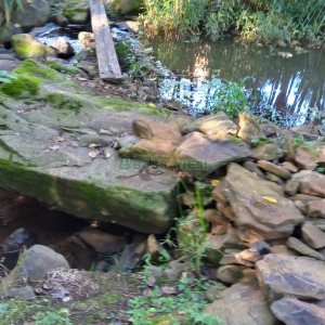 Chácara com 100m², 4 dormitórios, 1 vaga, no bairro Fazenda Souza em Caxias do Sul para Comprar