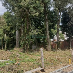 Terreno, no bairro Cidade Nova em Caxias do Sul para Comprar
