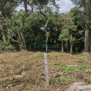 Terreno, no bairro Cidade Nova em Caxias do Sul para Comprar