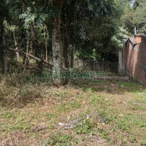 Terreno, no bairro Cidade Nova em Caxias do Sul para Comprar
