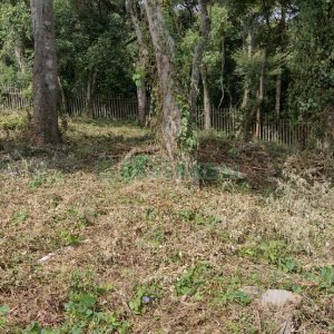 Terreno, no bairro Cidade Nova em Caxias do Sul para Comprar
