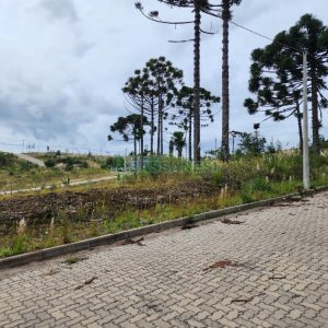 Terreno, no bairro Ana Rech em Caxias do Sul para Comprar