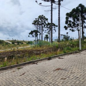 Terreno, no bairro Ana Rech em Caxias do Sul para Comprar