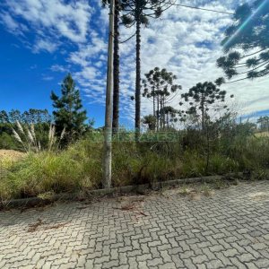Terreno com 378m², no bairro Ana Rech em Caxias do Sul para Comprar
