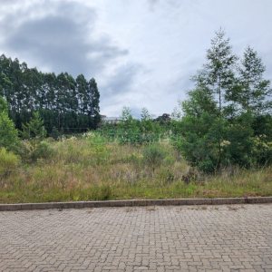 Terreno, no bairro Ana Rech em Caxias do Sul para Comprar