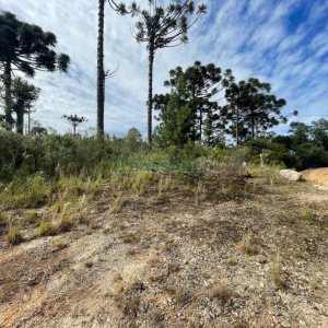 Terreno com 378m², no bairro Ana Rech em Caxias do Sul para Comprar