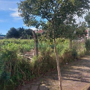 Terreno, no bairro Cinqüentenário em Caxias do Sul para Comprar