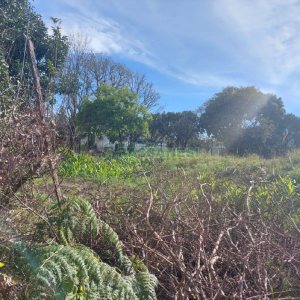Terreno, no bairro Cinqüentenário em Caxias do Sul para Comprar