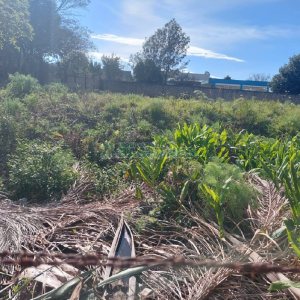 Terreno, no bairro Cinqüentenário em Caxias do Sul para Comprar