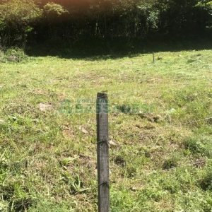 Terreno, no bairro Santa Corona em Caxias do Sul para Comprar