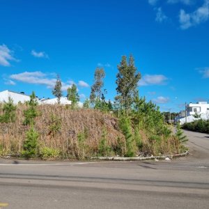 Terreno, no bairro Bela Vista em Caxias do Sul para Comprar