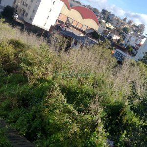 Terreno com 1447m², no bairro Rio Branco em Caxias do Sul para Comprar
