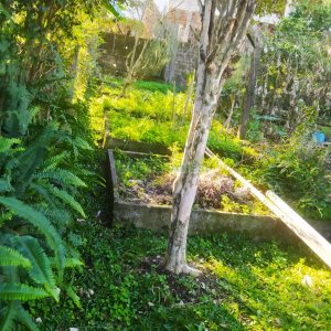 Casa com 60m², 2 dormitórios, 1 vaga, no bairro Rio Branco em Caxias do Sul para Comprar