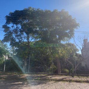 Terreno, no bairro Nossa Senhora de Fátima em Caxias do Sul para Comprar