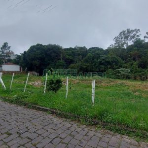 Terreno com 2478m², no bairro Bela Vista em Caxias do Sul para Alugar