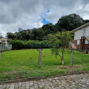 Terreno, no bairro Petrópolis em Caxias do Sul para Comprar