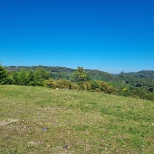 Chácara com 200m², 2 dormitórios, 2 vagas, no bairro Ana Rech em Caxias do Sul para Alugar ou Comprar