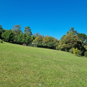 Chácara com 200m², 2 dormitórios, 2 vagas, no bairro Ana Rech em Caxias do Sul para Alugar ou Comprar