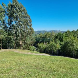 Chácara com 200m², 2 dormitórios, 2 vagas, no bairro Ana Rech em Caxias do Sul para Alugar ou Comprar