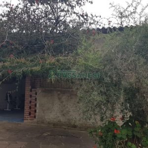 Loja com 63m², no bairro Santa Catarina em Caxias do Sul para Alugar