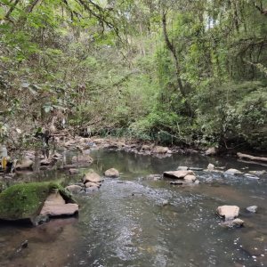 Chácara com 83m², no bairro Linha 40 em Caxias do Sul para Comprar