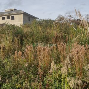 Terreno, no bairro Vinhedos em Caxias do Sul para Comprar