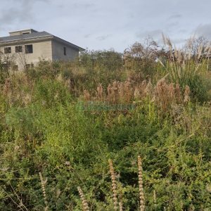Terreno, no bairro Vinhedos em Caxias do Sul para Comprar