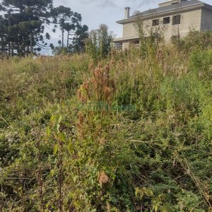 Terreno, no bairro Vinhedos em Caxias do Sul para Comprar