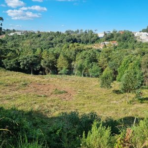 Terreno, no bairro Desvio Rizzo em Caxias do Sul para Comprar