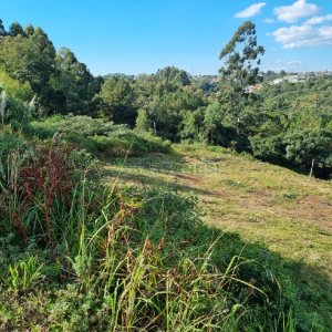 Terreno, no bairro Desvio Rizzo em Caxias do Sul para Comprar