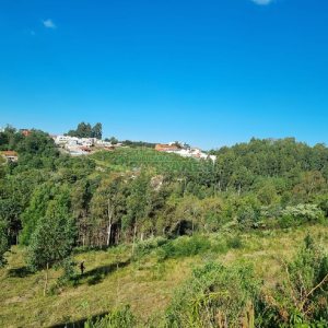 Terreno, no bairro Desvio Rizzo em Caxias do Sul para Comprar