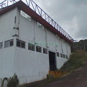 Pavilhão, no bairro Jardim Iracema em Caxias do Sul para Comprar