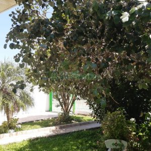 Casa com 161m², 3 dormitórios, 2 vagas, no bairro Nossa Senhora de Fátima em Caxias do Sul para Comprar