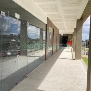 Sala com 1000m², no bairro Sagrada Família em Caxias do Sul para Alugar